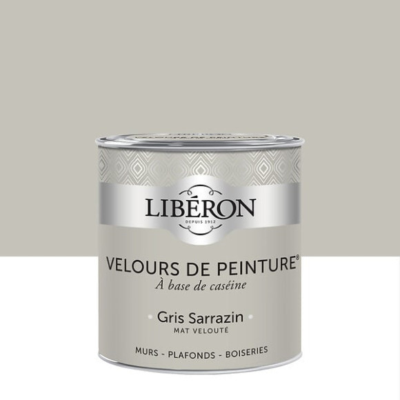 Velours de peinture - Gris sarrazin - Mat - 05L