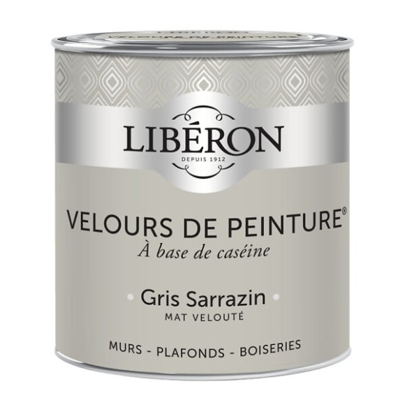 Velours de peinture - Gris sarrazin - Mat - 05L