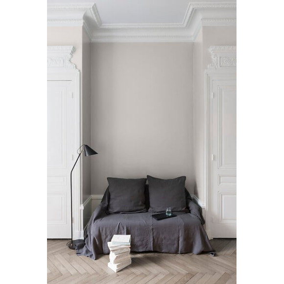 Velours de peinture - Gris sarrazin - Mat - 05L