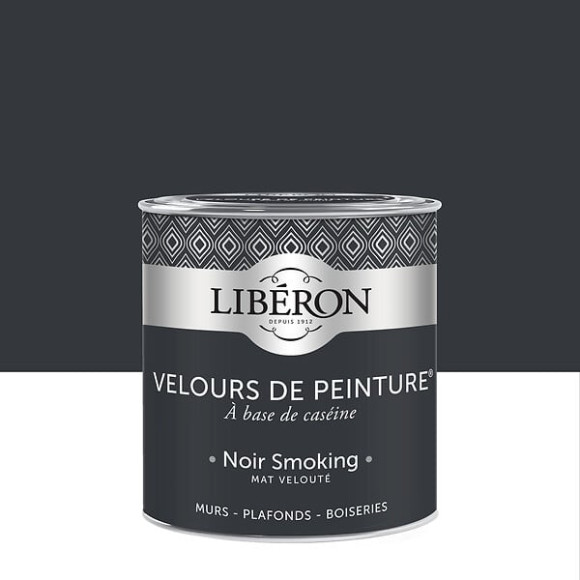 Velours de peinture - Noir smoking - Mat - 05L