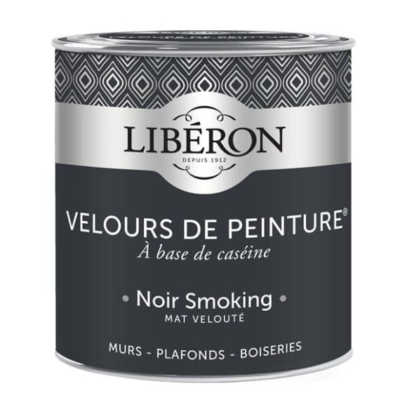 Velours de peinture - Noir smoking - Mat - 05L