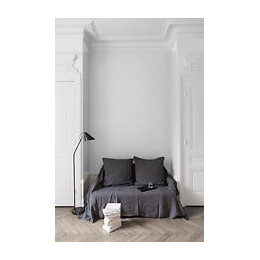 Velours de peinture - Blanc porcelaine - Mat - 25L