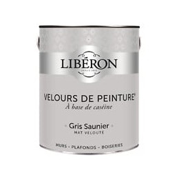 Velours de peinture - Gris saunier - Mat - 25L