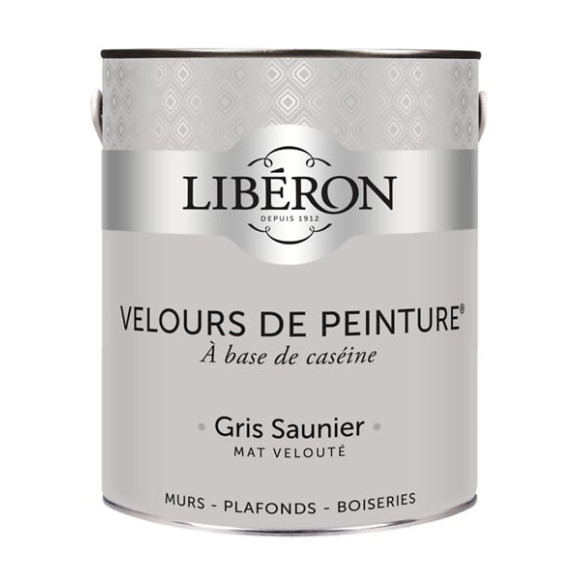 Velours de peinture - Gris saunier - Mat - 25L