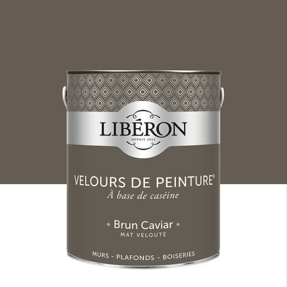 Velours de peinture - Brun caviar - Mat - 25L