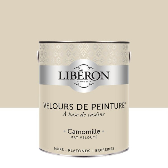 Velours de peinture - Camomille - Mat - 25L