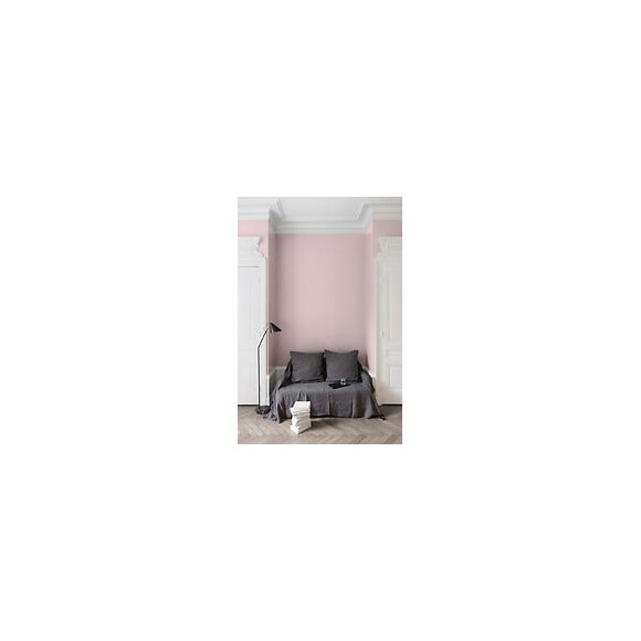 Velours de peinture - Rose pamoison - Mat - 25L