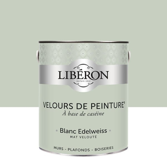 Velours de peinture - Blanc edelweiss - Mat - 25L