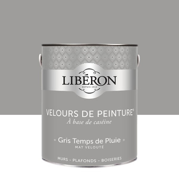 Velours de peinture - Gris temps de pluie - Mat - 25L