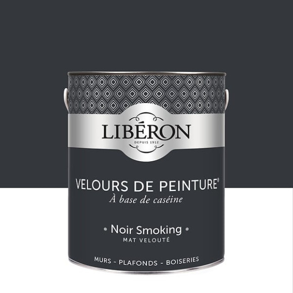 Velours de peinture - Noir smoking - Mat - 25L