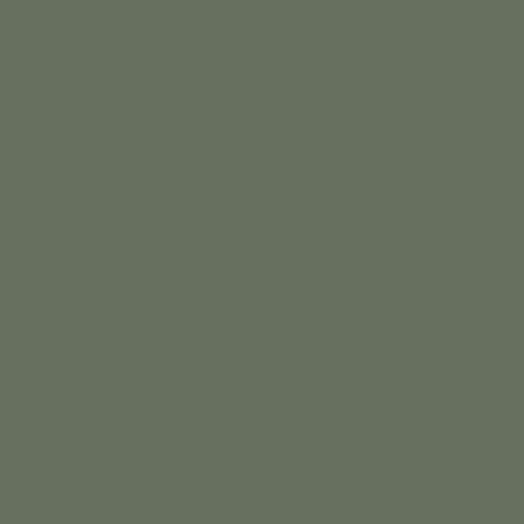 Velours de peinture - Vert treillis - Mat - 05L