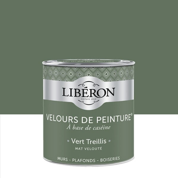 Velours de peinture - Vert treillis - Mat - 05L