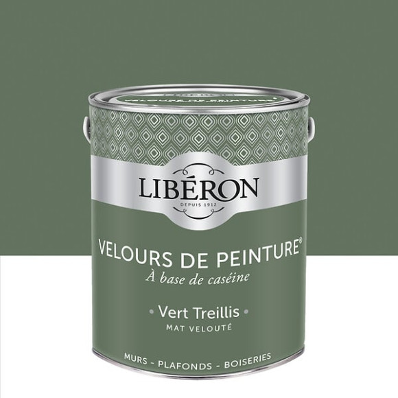 Velours de peinture - Vert Treillis - Mat - 25L