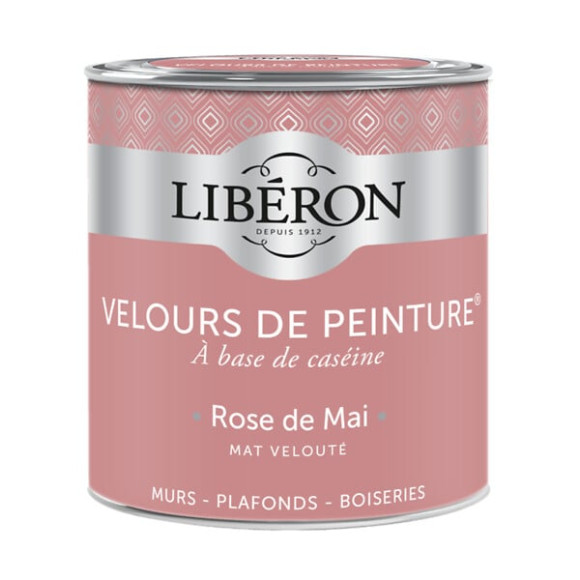 Velours de peinture - Rose de Mai - Mat - 05L