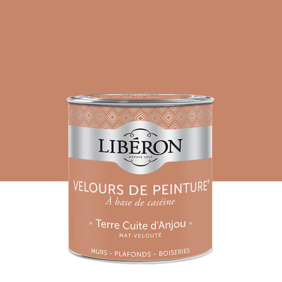 Velours de peinture - Terre cuite d'Anjou - Mat - 05L