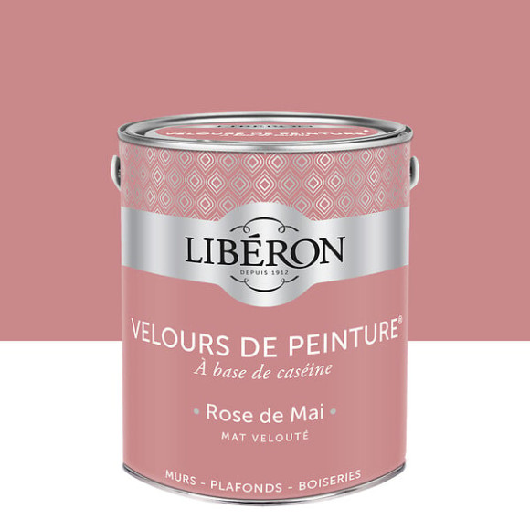 Velours de peinture - Rose de Mai - Mat - 25L