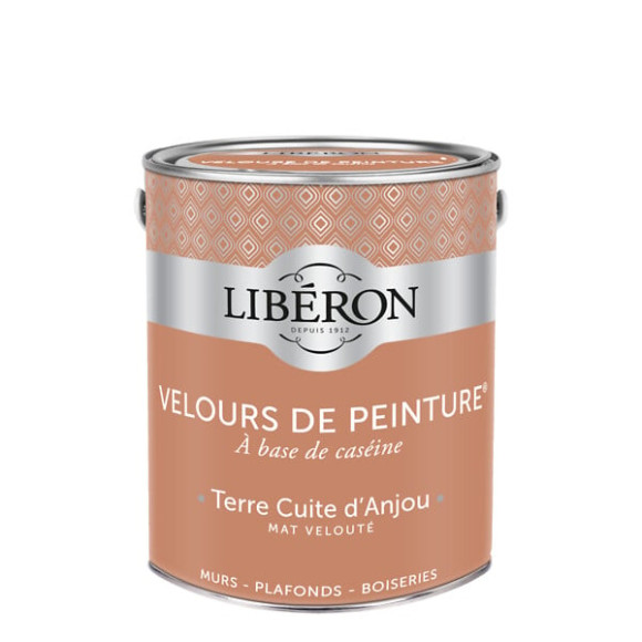 Velours de peinture - Terre d'Anjou - Mat - 25L