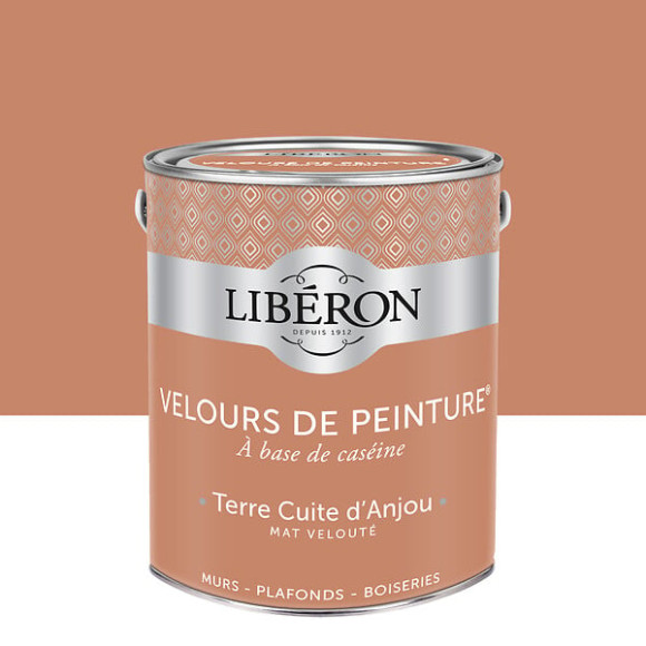 Velours de peinture - Terre d'Anjou - Mat - 25L