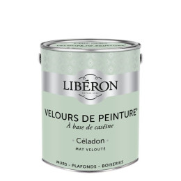 Velours de peinture - Celadon - Mat - 25L