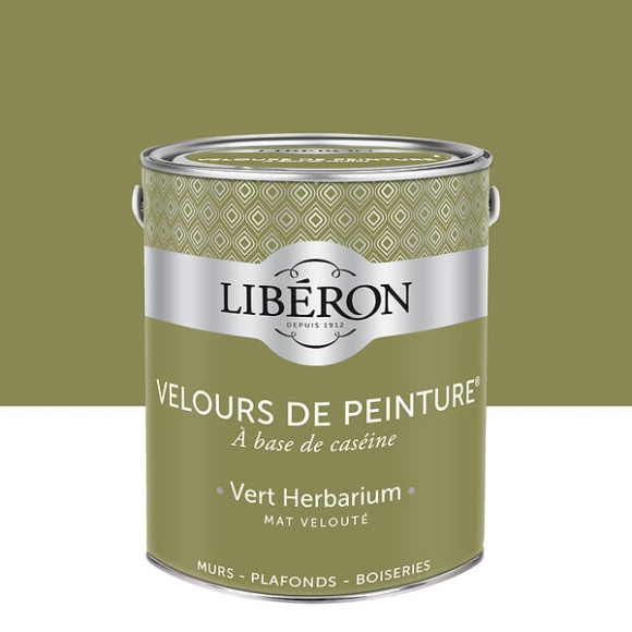 Velours de peinture - Vert Herbarium - Mat - 25L