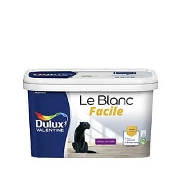 Peinture Le Blanc Facile Dulux Valentine Velours Blanc 2.5L