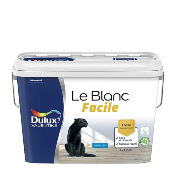 Peinture Le Blanc Facile Dulux Valentine Mat Blanc 5L