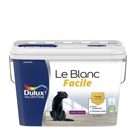 Peinture Le Blanc Facile Dulux Valentine Velours Blanc 5L