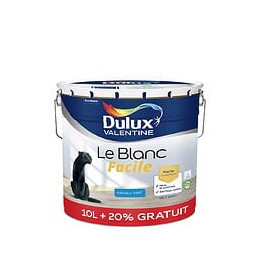 Peinture Le Blanc Facile - Mat - 10L+20%