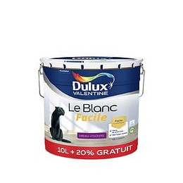 Peinture Le Blanc Facile - Velours - 10L+20%