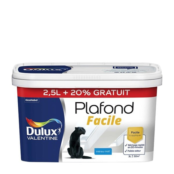 Peinture Plafond Facile - Blanc - Mat - 25L+20%