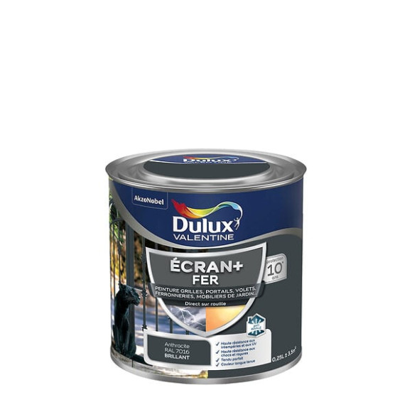 Peinture extérieure Fer Ecran+ Dulux Valentine Bril-G.Anthracite 025L