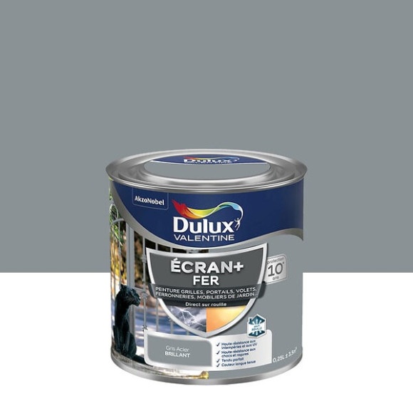 Peinture extérieure Fer Ecran+ Dulux Valentine Brill-Gris Acier 025L