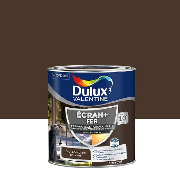 Peinture extérieure Fer Ecran+DuluxValentine Brill-Brun Normandie 05L