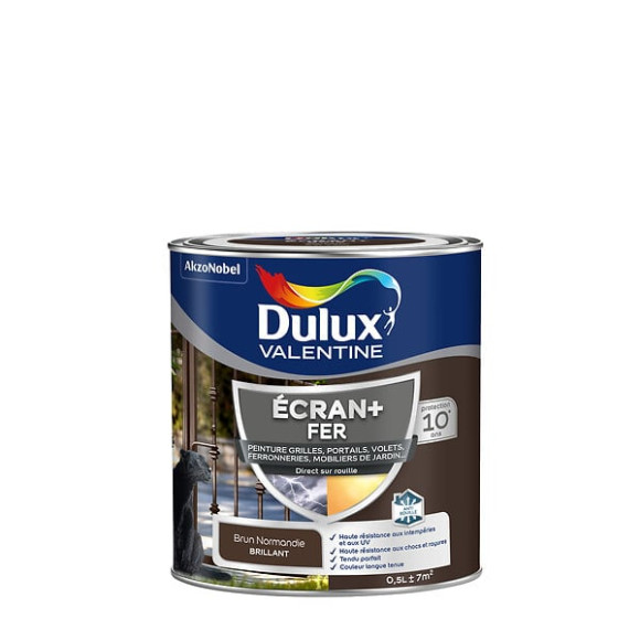 Peinture extérieure Fer Ecran+DuluxValentine Brill-Brun Normandie 05L