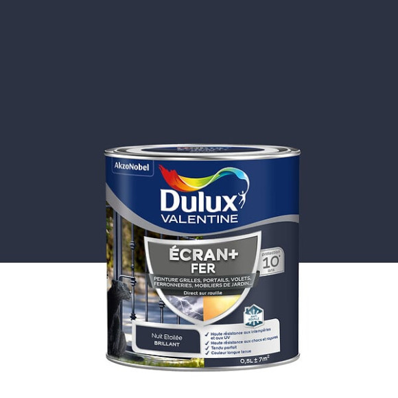 Peinture extérieure Fer Ecran+ Dulux Valentine Brill-Nuit Etoilée 05L