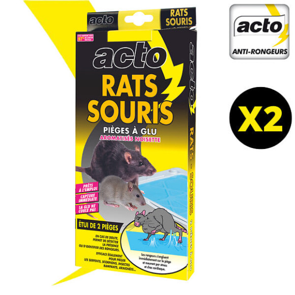 Pièges à  glu rats - souris