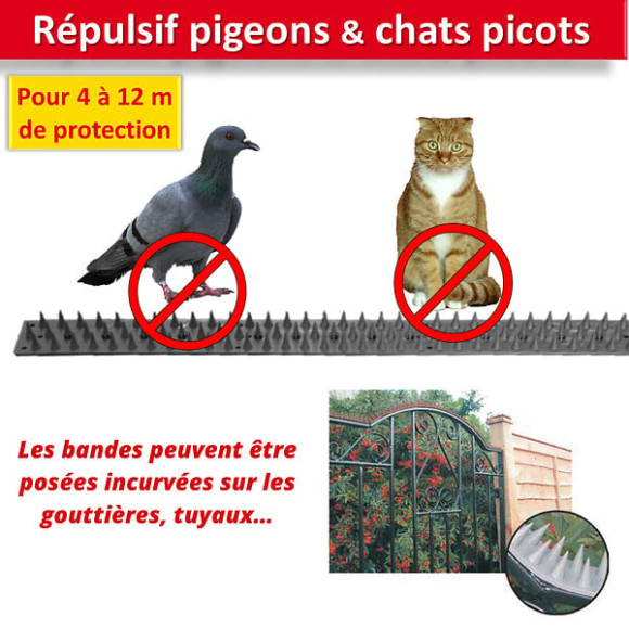 Répulsif picots en plastique pour pigeons chats