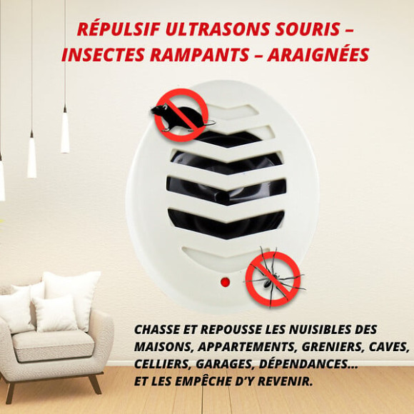 Emetteur d'ultrasons souris et insectes rampants