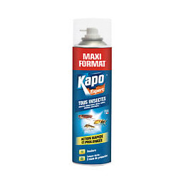 Aérosol Tous Insectes KAPO Maxi Format 600ml