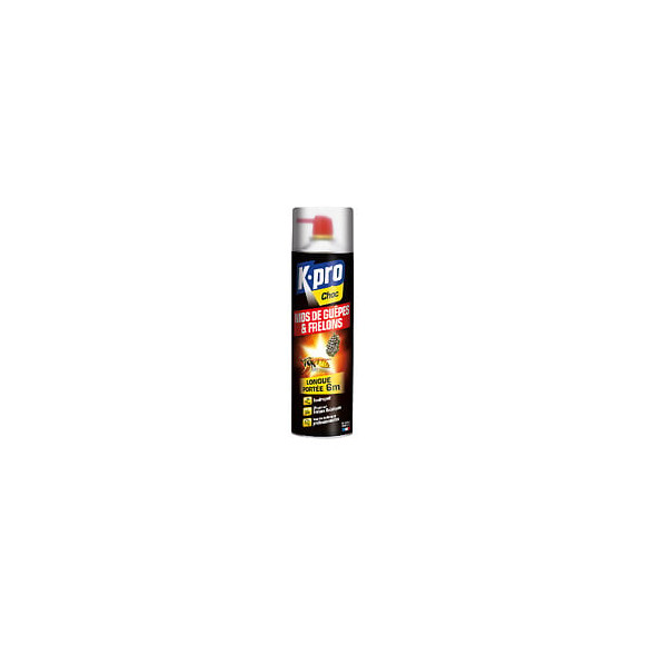 Insecticide Tous insectes Aérosol 200ml